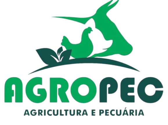 Logo Santana do Araguaia